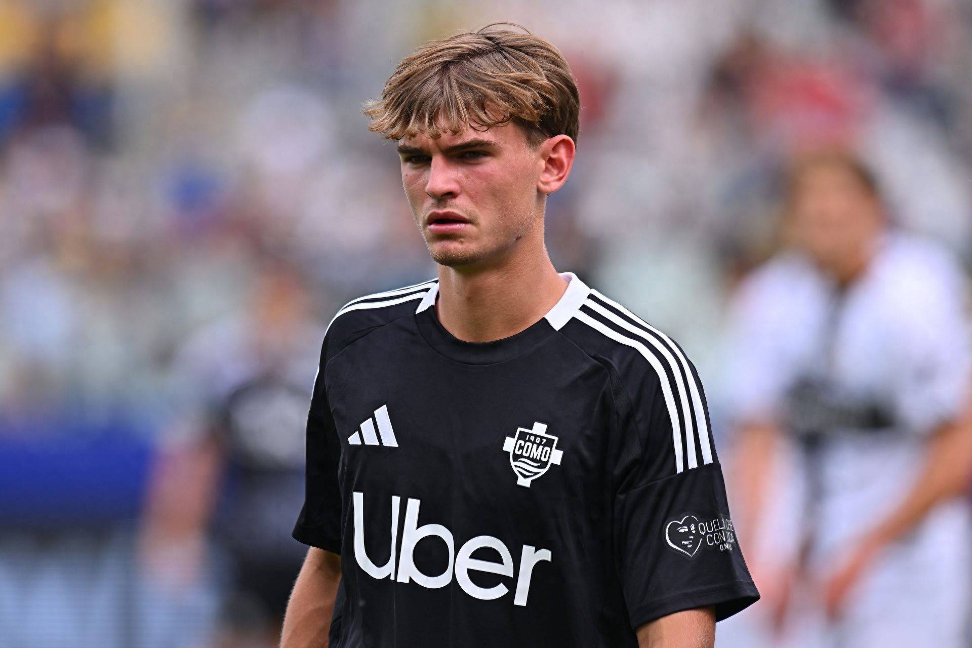 不仅可以为 不仅可以为