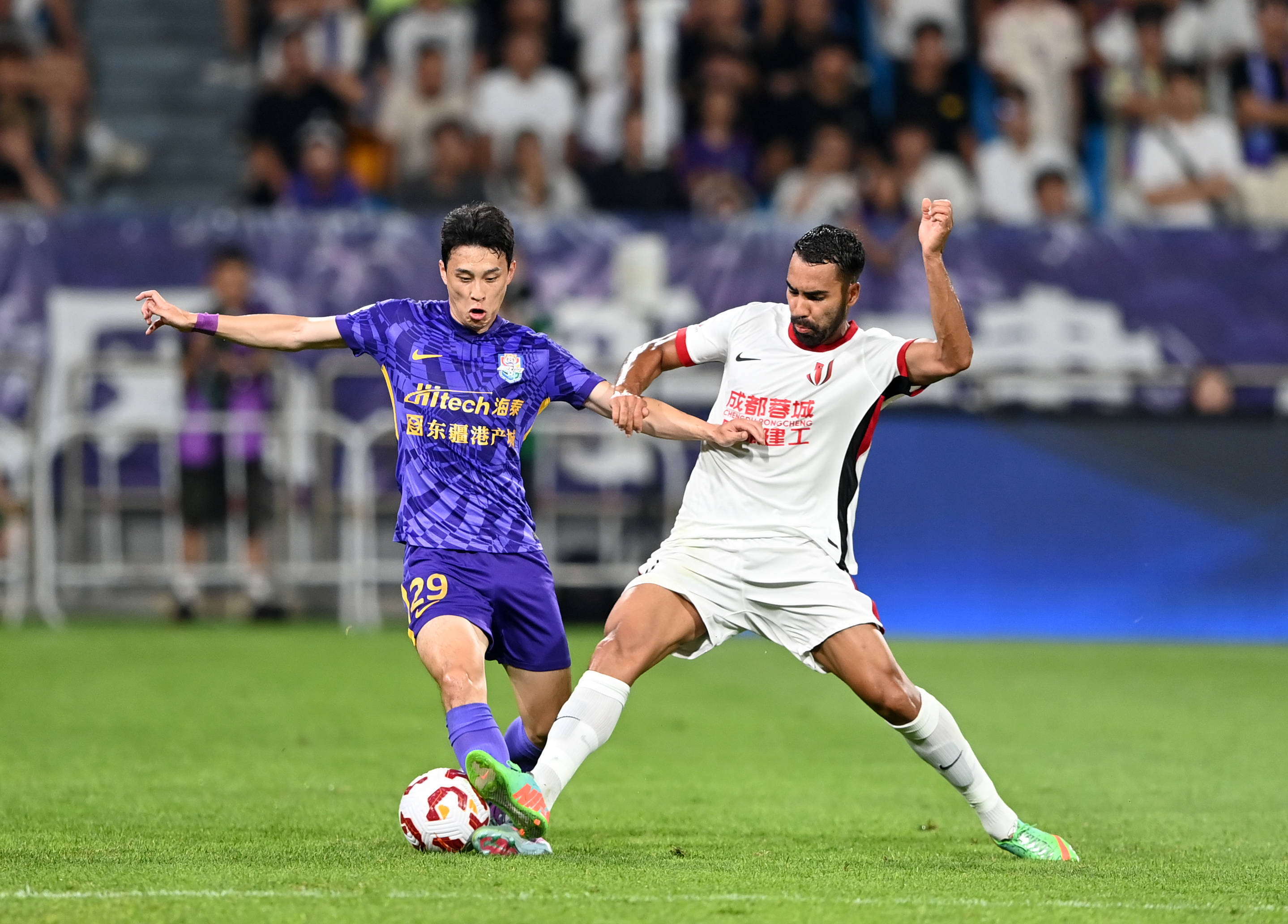 塞梅尼奥短 塞梅尼奥短